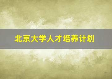 北京大学人才培养计划