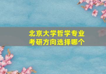 北京大学哲学专业考研方向选择哪个