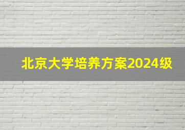 北京大学培养方案2024级