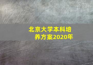 北京大学本科培养方案2020年