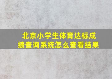 北京小学生体育达标成绩查询系统怎么查看结果