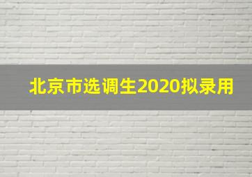 北京市选调生2020拟录用