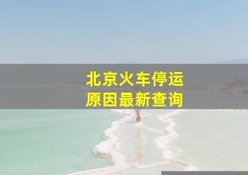 北京火车停运原因最新查询