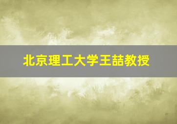 北京理工大学王喆教授