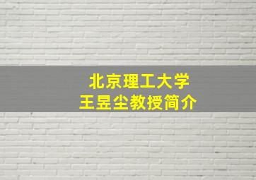 北京理工大学王昱尘教授简介