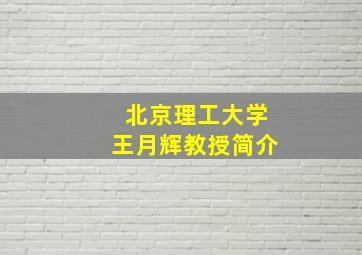 北京理工大学王月辉教授简介