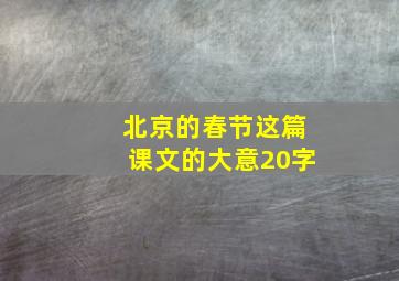 北京的春节这篇课文的大意20字