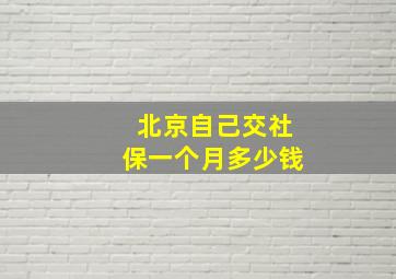 北京自己交社保一个月多少钱