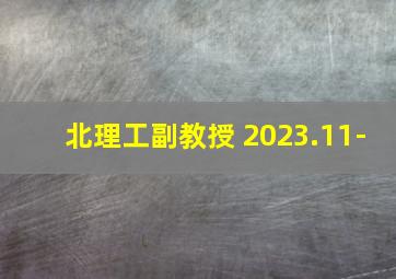 北理工副教授 2023.11-