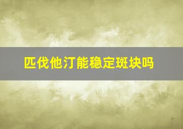 匹伐他汀能稳定斑块吗