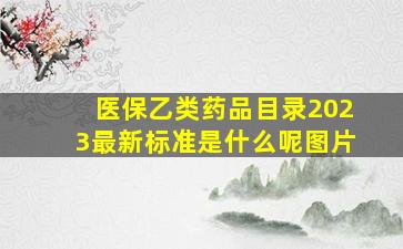 医保乙类药品目录2023最新标准是什么呢图片