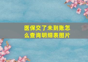 医保交了未到账怎么查询明细表图片