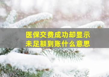 医保交费成功却显示未足额到账什么意思