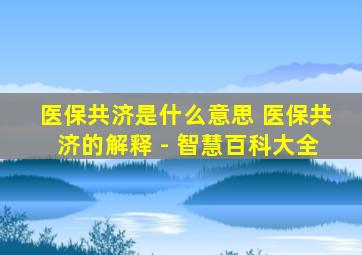 医保共济是什么意思 医保共济的解释 - 智慧百科大全