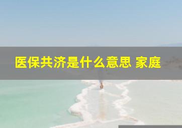 医保共济是什么意思 家庭