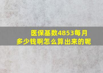 医保基数4853每月多少钱啊怎么算出来的呢