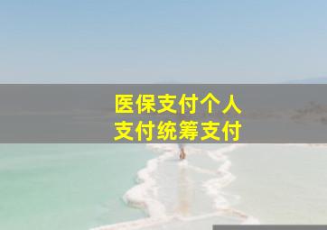 医保支付个人支付统筹支付