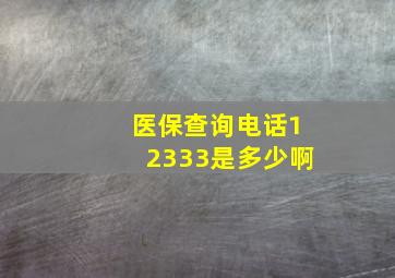 医保查询电话12333是多少啊