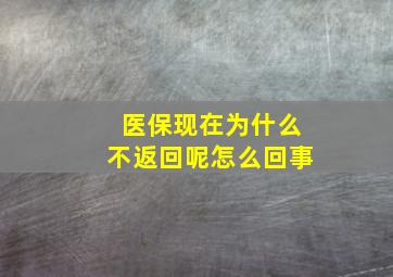 医保现在为什么不返回呢怎么回事