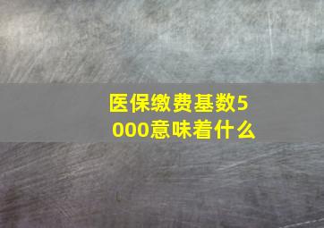 医保缴费基数5000意味着什么