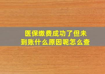 医保缴费成功了但未到账什么原因呢怎么查