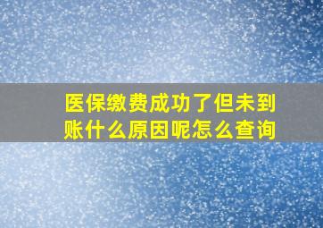 医保缴费成功了但未到账什么原因呢怎么查询