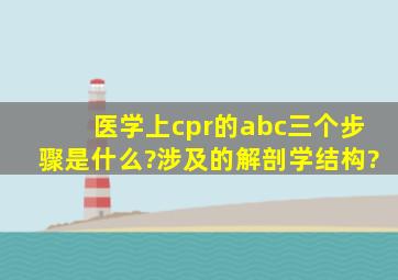 医学上cpr的abc三个步骤是什么?涉及的解剖学结构?