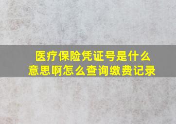 医疗保险凭证号是什么意思啊怎么查询缴费记录