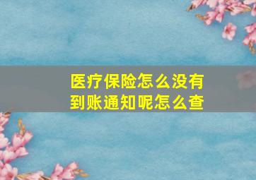 医疗保险怎么没有到账通知呢怎么查