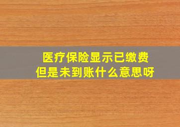 医疗保险显示已缴费但是未到账什么意思呀