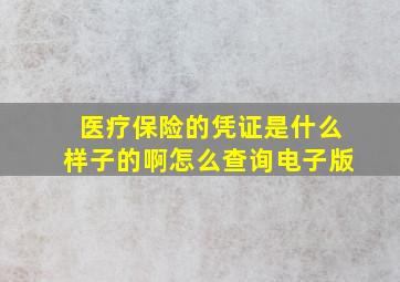 医疗保险的凭证是什么样子的啊怎么查询电子版