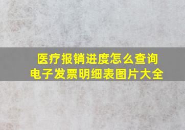 医疗报销进度怎么查询电子发票明细表图片大全