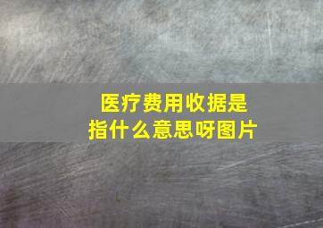 医疗费用收据是指什么意思呀图片