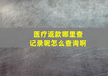 医疗返款哪里查记录呢怎么查询啊