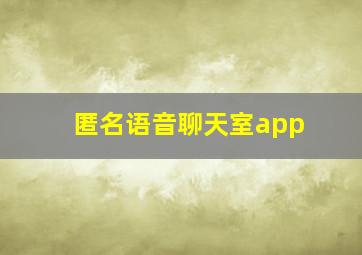 匿名语音聊天室app