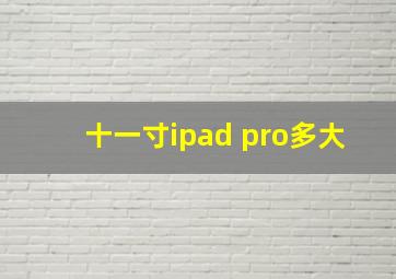 十一寸ipad pro多大