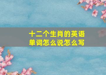 十二个生肖的英语单词怎么说怎么写