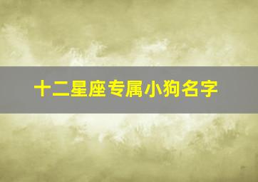 十二星座专属小狗名字