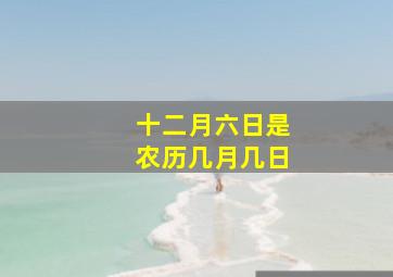 十二月六日是农历几月几日