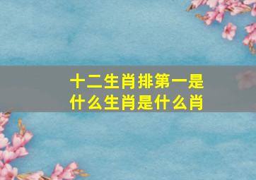 十二生肖排第一是什么生肖是什么肖