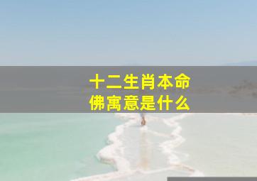 十二生肖本命佛寓意是什么