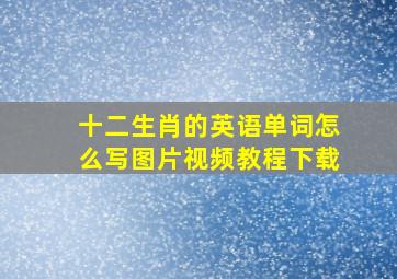 十二生肖的英语单词怎么写图片视频教程下载