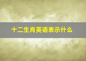 十二生肖英语表示什么