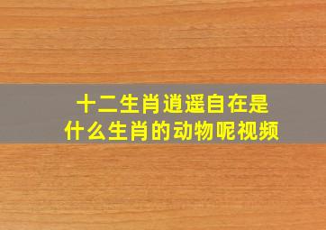 十二生肖逍遥自在是什么生肖的动物呢视频