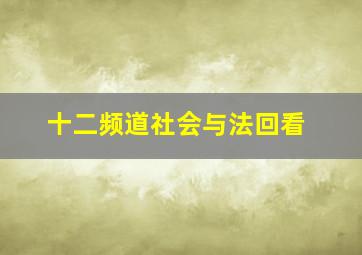 十二频道社会与法回看