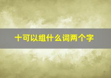 十可以组什么词两个字