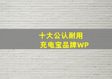 十大公认耐用充电宝品牌WP