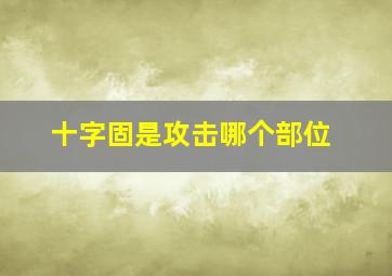 十字固是攻击哪个部位