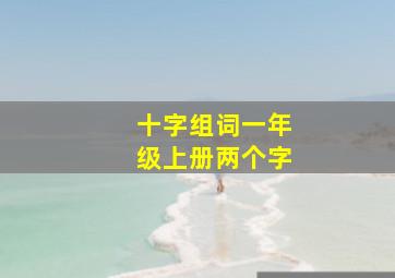 十字组词一年级上册两个字