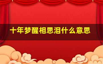 十年梦醒相思泪什么意思